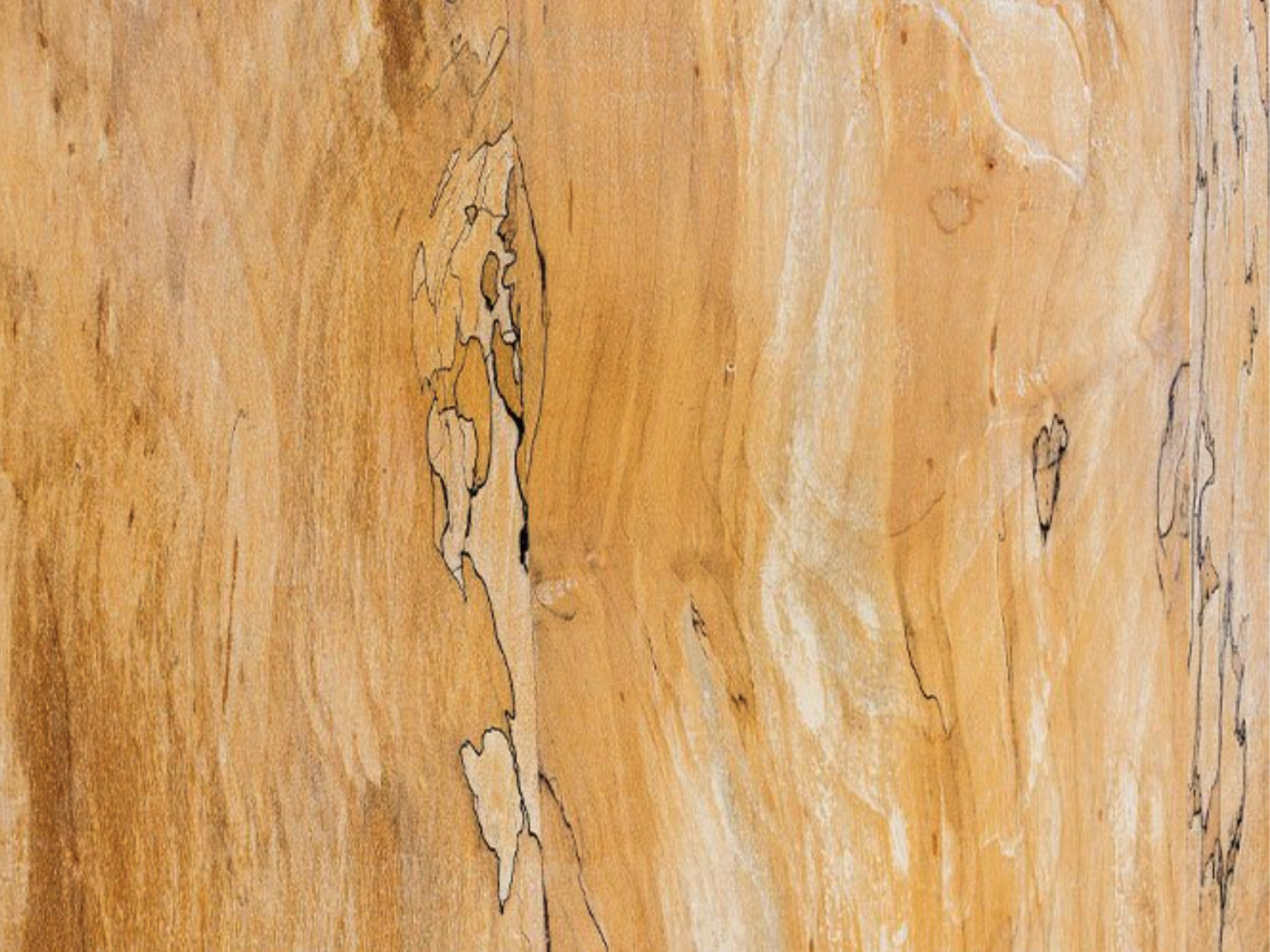 Spalted Maple Veneer | Vermont Wildwoods